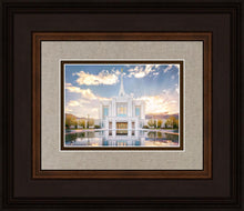 Load image into Gallery viewer, Ogden the Miracle is Coming
