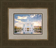 Load image into Gallery viewer, Ogden the Miracle is Coming
