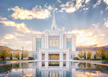 Load image into Gallery viewer, Ogden the Miracle is Coming

