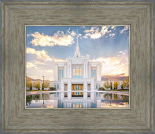 Load image into Gallery viewer, Ogden the Miracle is Coming
