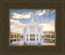 Load image into Gallery viewer, Ogden the Miracle is Coming

