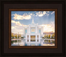 Load image into Gallery viewer, Ogden the Miracle is Coming
