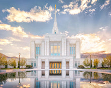 Load image into Gallery viewer, Ogden the Miracle is Coming
