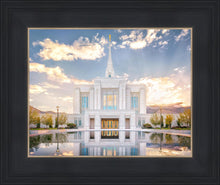 Load image into Gallery viewer, Ogden the Miracle is Coming
