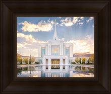 Load image into Gallery viewer, Ogden the Miracle is Coming
