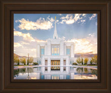 Load image into Gallery viewer, Ogden the Miracle is Coming

