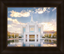 Load image into Gallery viewer, Ogden the Miracle is Coming
