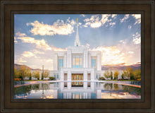 Load image into Gallery viewer, Ogden the Miracle is Coming
