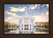 Load image into Gallery viewer, Ogden the Miracle is Coming
