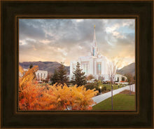 Load image into Gallery viewer, Ogden Fall
