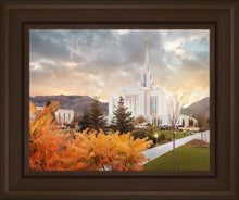 Load image into Gallery viewer, Ogden Fall
