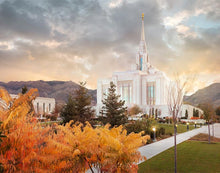 Load image into Gallery viewer, Ogden Fall
