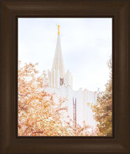 Load image into Gallery viewer, Jordan River Spring Blossoms
