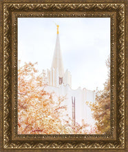 Load image into Gallery viewer, Jordan River Spring Blossoms

