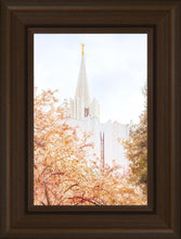 Load image into Gallery viewer, Jordan River Spring Blossoms
