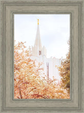 Load image into Gallery viewer, Jordan River Spring Blossoms
