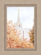 Load image into Gallery viewer, Jordan River Spring Blossoms
