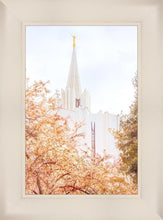 Load image into Gallery viewer, Jordan River Spring Blossoms
