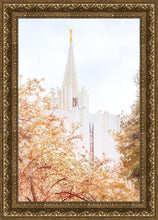 Load image into Gallery viewer, Jordan River Spring Blossoms
