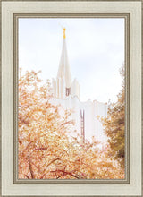 Load image into Gallery viewer, Jordan River Spring Blossoms
