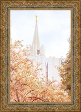 Load image into Gallery viewer, Jordan River Spring Blossoms
