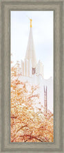 Load image into Gallery viewer, Jordan River Spring Blossoms
