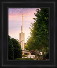 Load image into Gallery viewer, Atlanta Garden Open Edition Canvas / 11 X 14 Black Frame Art
