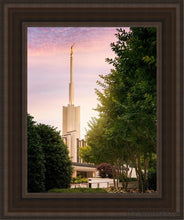 Load image into Gallery viewer, Atlanta Garden Open Edition Canvas / 11 X 14 Brown Frame Art
