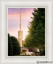 Load image into Gallery viewer, Atlanta Garden Open Edition Canvas / 11 X 14 White Frame Art
