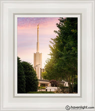 Load image into Gallery viewer, Atlanta Garden Open Edition Canvas / 8 X 10 White Frame Art
