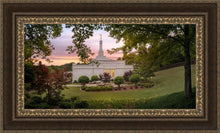 Load image into Gallery viewer, Birmingham Garden Open Edition Canvas / 36 X 18 Frame M 27 3/4 45 Art
