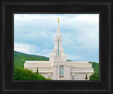 Load image into Gallery viewer, Bountiful Hillside Open Edition Canvas / 11 X 14 Black Frame Art
