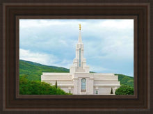 Load image into Gallery viewer, Bountiful Hillside Open Edition Canvas / 12 X 18 Brown Frame Art
