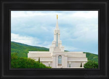 Load image into Gallery viewer, Bountiful Hillside Open Edition Canvas / 24 X 36 Black Frame Art
