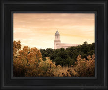 Load image into Gallery viewer, Cedar City Golden Open Edition Canvas / 11 X 14 Black Frame Art

