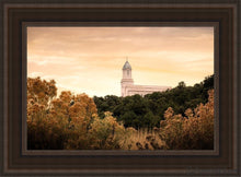 Load image into Gallery viewer, Cedar City Golden Open Edition Canvas / 14 X 21 Brown Frame Art
