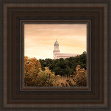 Load image into Gallery viewer, Cedar City Golden Open Edition Canvas / 6 X Brown Frame Art
