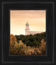 Load image into Gallery viewer, Cedar City Golden Open Edition Canvas / 8 X 10 Black Frame Art
