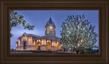 Load image into Gallery viewer, Fort Collins Dawns Bouquet Open Edition Canvas / 30 X 15 Frame E 21 3/4 36 Art
