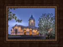 Load image into Gallery viewer, Fort Collins Dawns Bouquet Open Edition Canvas / 30 X 20 Frame A 40 Art
