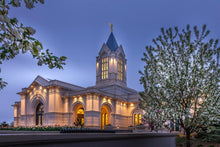 Load image into Gallery viewer, Fort Collins Dawns Bouquet Open Edition Canvas / 30 X 20 Print Only Art
