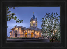 Load image into Gallery viewer, Fort Collins Dawns Bouquet Open Edition Canvas / 36 X 24 Frame A 32 3/4 44 Art
