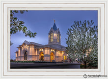 Load image into Gallery viewer, Fort Collins Dawns Bouquet Open Edition Canvas / 36 X 24 Frame D 32 1/4 44 Art
