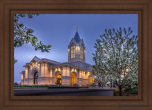Load image into Gallery viewer, Fort Collins Dawns Bouquet Open Edition Canvas / 36 X 24 Frame F 31 3/4 43 Art
