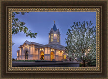 Load image into Gallery viewer, Fort Collins Dawns Bouquet Open Edition Canvas / 36 X 24 Frame M 33 3/4 45 Art
