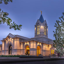 Load image into Gallery viewer, Fort Collins Dawns Bouquet Open Edition Print / 12 X Only Art
