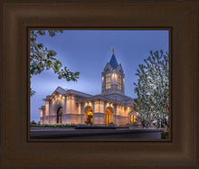 Load image into Gallery viewer, Fort Collins Dawns Bouquet Open Edition Print / 14 X 11 Frame C 16 3/4 19 Art
