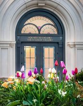 Load image into Gallery viewer, Fort Collins Easter Bouquet Open Edition Print / 11 X 14 Only Art

