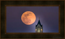 Load image into Gallery viewer, Fort Collins Night Flight Open Edition Canvas / 30 X 15 Frame A 22 37 Art
