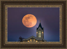 Load image into Gallery viewer, Fort Collins Night Flight Open Edition Canvas / 36 X 24 Frame M 33 3/4 45 Art
